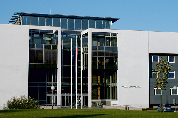 Faculty of business and management